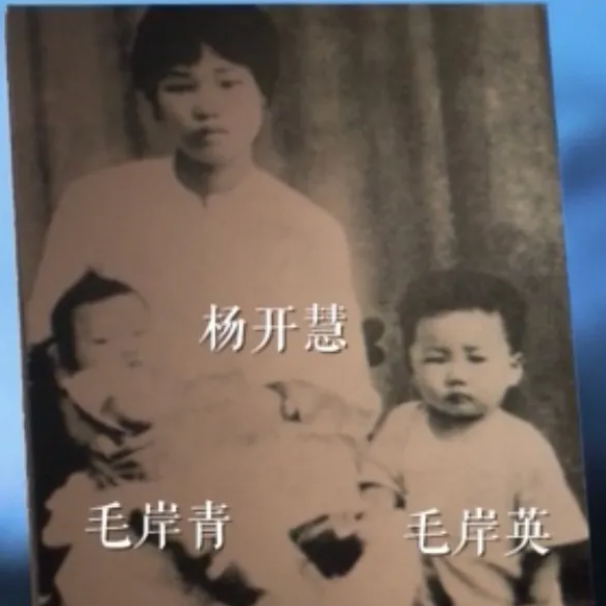 【HEF黨建小課堂100講】第七十講：“打仗總是要死人的……不要因為是我的兒子，就當成一件大事”(圖2)