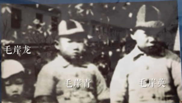【HEF黨建小課堂100講】第七十講：“打仗總是要死人的……不要因為是我的兒子，就當成一件大事”(圖4)